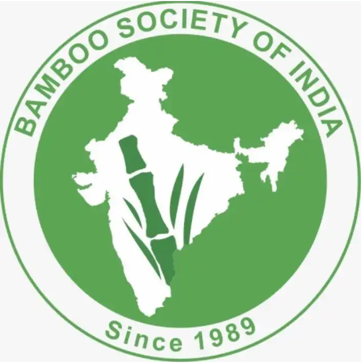 Bamboo
